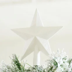 STAR Decorazioni Secche