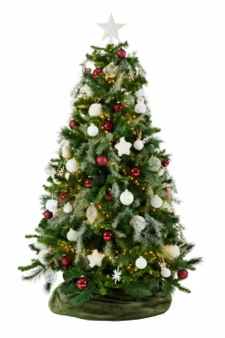 STAR Decorazioni Secche