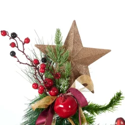 STAR Decorazioni Secche