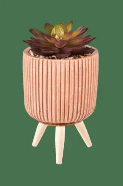 STRIPE Succulente Finto In Vaso Multicolore