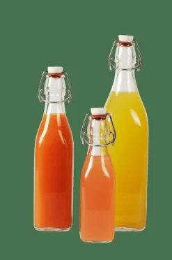 SWING Bottiglia 0,5 L Trasparente