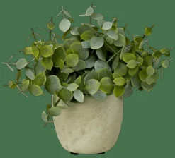 TERRA Pianta In Vaso Bianco, Verde