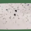 TERRAZZO Portasapone Bianco