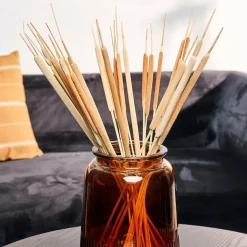TYPHA Canna Palustre Set Di 15 Naturale