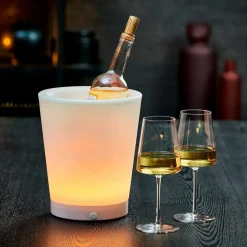 VACUVIN Pompa Sottovuoto Per Bottiglie Nero, Grigio