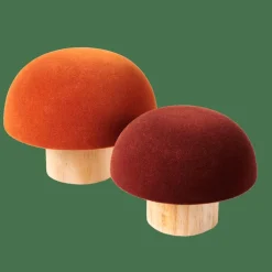 VELVET Fungo Naturale, Multicolore