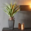 VERA Aloe Vera Verde